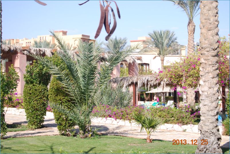 sharm 12 094